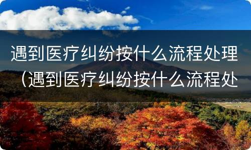 遇到医疗纠纷按什么流程处理（遇到医疗纠纷按什么流程处理好）