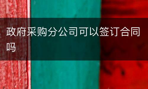 政府采购分公司可以签订合同吗