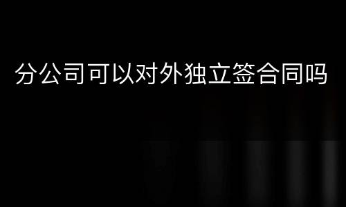 分公司可以对外独立签合同吗