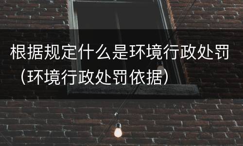 根据规定什么是环境行政处罚（环境行政处罚依据）