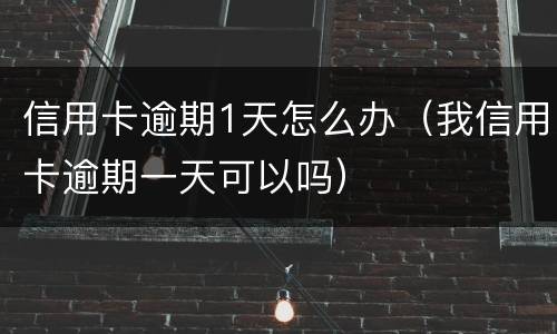 信用卡逾期1天怎么办（我信用卡逾期一天可以吗）