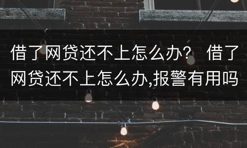 借了网贷还不上怎么办？ 借了网贷还不上怎么办,报警有用吗