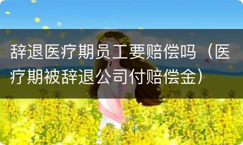 辞退医疗期员工要赔偿吗（医疗期被辞退公司付赔偿金）