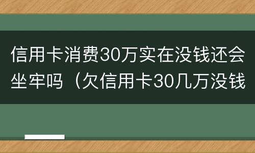 信用卡消费30万实在没钱还会坐牢吗（欠信用卡30几万没钱还）