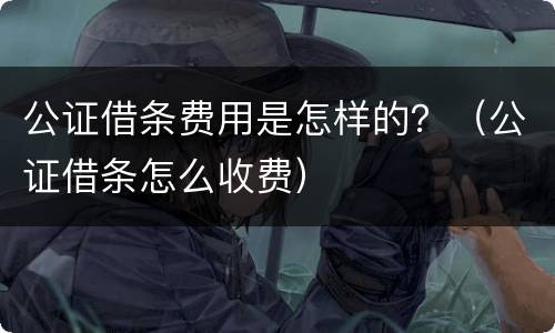 公证借条费用是怎样的？（公证借条怎么收费）