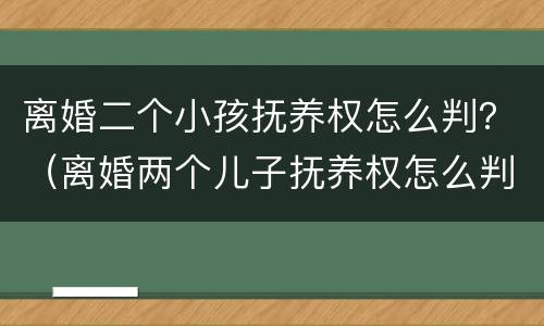 离婚二个小孩抚养权怎么判？（离婚两个儿子抚养权怎么判定）