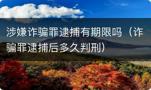涉嫌诈骗罪逮捕有期限吗（诈骗罪逮捕后多久判刑）