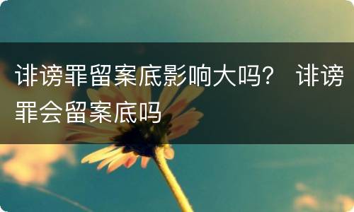 诽谤罪留案底影响大吗？ 诽谤罪会留案底吗