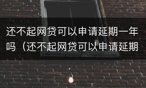 还不起网贷可以申请延期一年吗（还不起网贷可以申请延期一年吗怎么办）