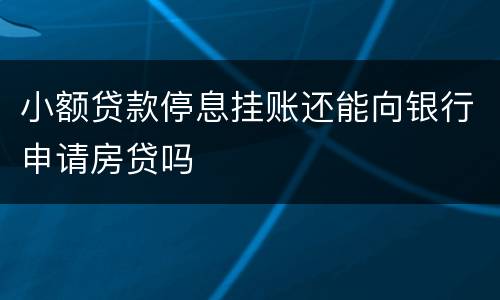 小额贷款停息挂账还能向银行申请房贷吗