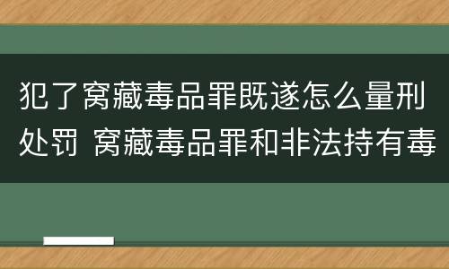犯了窝藏毒品罪既遂怎么量刑处罚 窝藏毒品罪和非法持有毒品罪