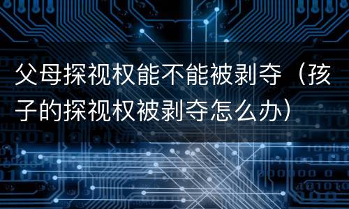 父母探视权能不能被剥夺（孩子的探视权被剥夺怎么办）