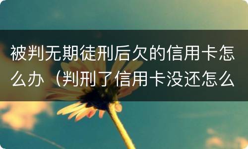 被判无期徒刑后欠的信用卡怎么办（判刑了信用卡没还怎么办）