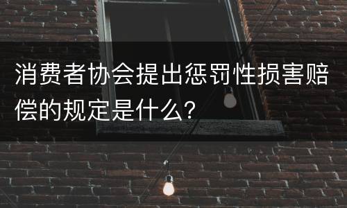 消费者协会提出惩罚性损害赔偿的规定是什么？