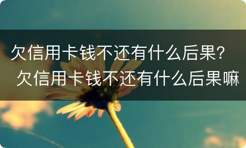 欠信用卡钱不还有什么后果？ 欠信用卡钱不还有什么后果嘛
