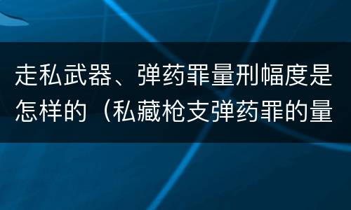 走私武器、弹药罪量刑幅度是怎样的（私藏枪支弹药罪的量刑标准）
