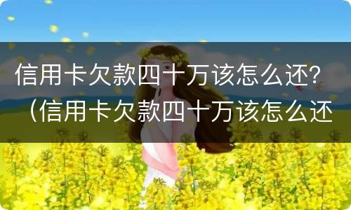 信用卡欠款四十万该怎么还？（信用卡欠款四十万该怎么还款）