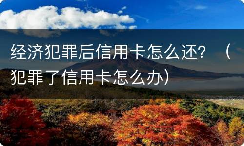 经济犯罪后信用卡怎么还？（犯罪了信用卡怎么办）