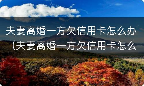 夫妻离婚一方欠信用卡怎么办(夫妻离婚一方欠信用卡怎么办另一方没能力还怎么办)