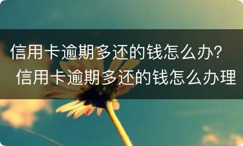 信用卡逾期多还的钱怎么办? 信用卡逾期多还的钱怎么办理
