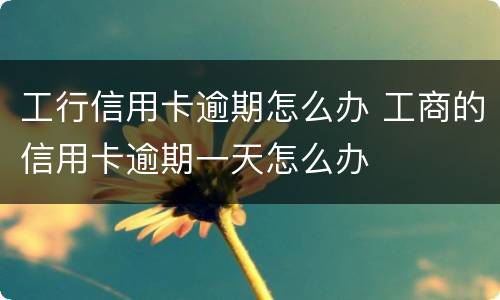 工行信用卡逾期怎么办 工商的信用卡逾期一天怎么办