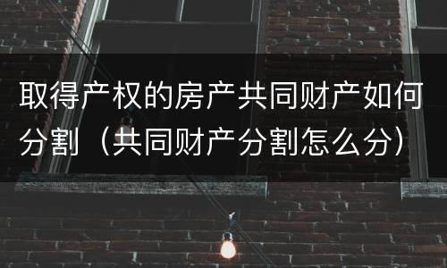 取得产权的房产共同财产如何分割（共同财产分割怎么分）