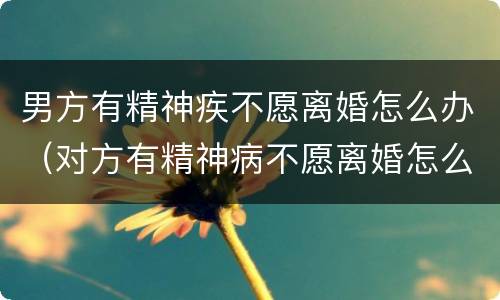 男方有精神疾不愿离婚怎么办（对方有精神病不愿离婚怎么办）
