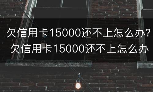 欠信用卡15000还不上怎么办？ 欠信用卡15000还不上怎么办
