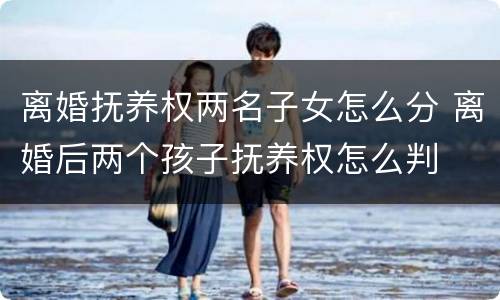离婚抚养权两名子女怎么分 离婚后两个孩子抚养权怎么判