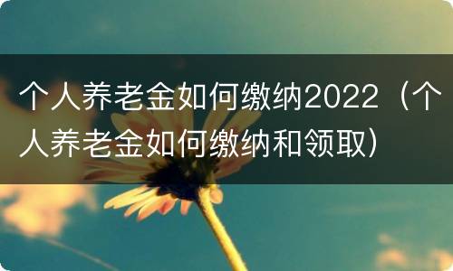个人养老金如何缴纳2022（个人养老金如何缴纳和领取）