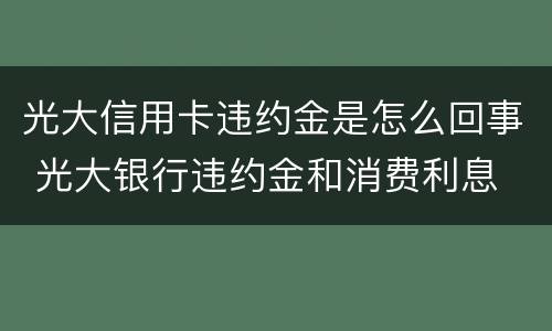 光大信用卡违约金是怎么回事 光大银行违约金和消费利息