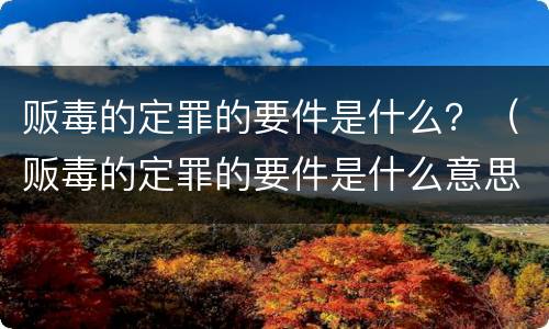 贩毒的定罪的要件是什么？（贩毒的定罪的要件是什么意思）