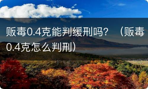 贩毒0.4克能判缓刑吗？（贩毒0.4克怎么判刑）