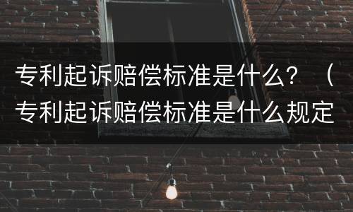 专利起诉赔偿标准是什么？（专利起诉赔偿标准是什么规定）