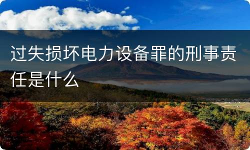 过失损坏电力设备罪的刑事责任是什么