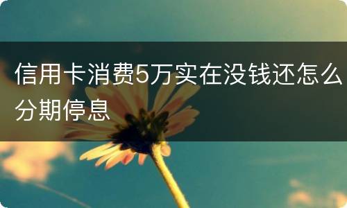 信用卡消费5万实在没钱还怎么分期停息