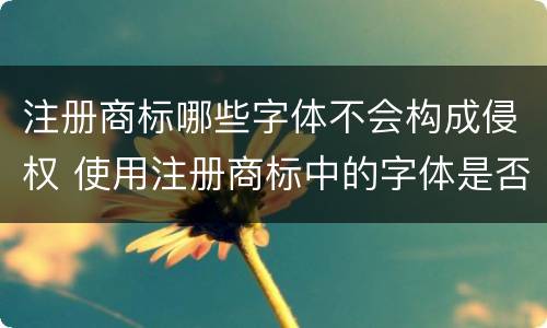 注册商标哪些字体不会构成侵权 使用注册商标中的字体是否构成侵权