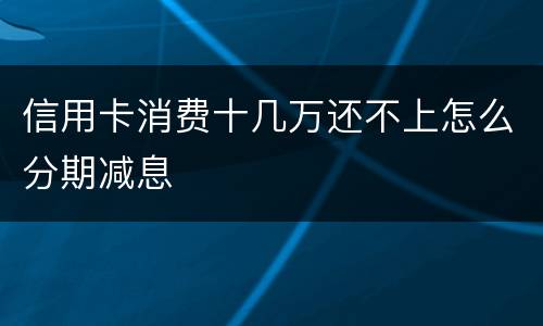 信用卡消费十几万还不上怎么分期减息