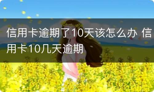 信用卡逾期了10天该怎么办 信用卡10几天逾期