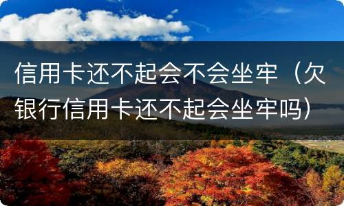 信用卡还不起会不会坐牢（欠银行信用卡还不起会坐牢吗）