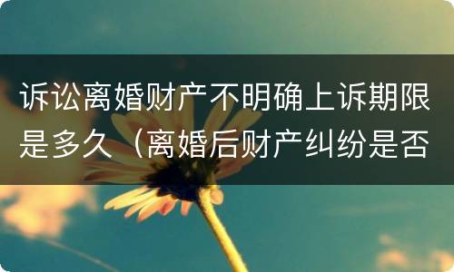诉讼离婚财产不明确上诉期限是多久（离婚后财产纠纷是否有诉讼时效）