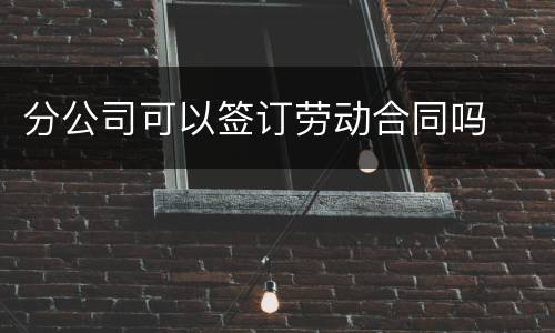 分公司可以签订劳动合同吗