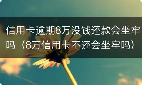 信用卡逾期8万没钱还款会坐牢吗（8万信用卡不还会坐牢吗）