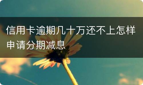 信用卡逾期几十万还不上怎样申请分期减息