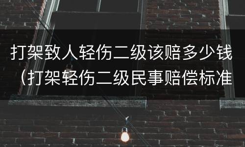 打架致人轻伤二级该赔多少钱（打架轻伤二级民事赔偿标准）