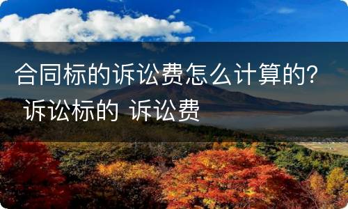 合同标的诉讼费怎么计算的？ 诉讼标的 诉讼费