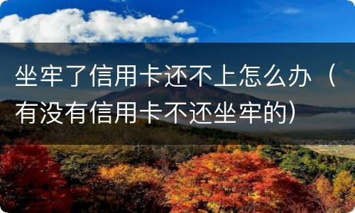 坐牢了信用卡还不上怎么办（有没有信用卡不还坐牢的）