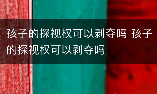 孩子的探视权可以剥夺吗 孩子的探视权可以剥夺吗
