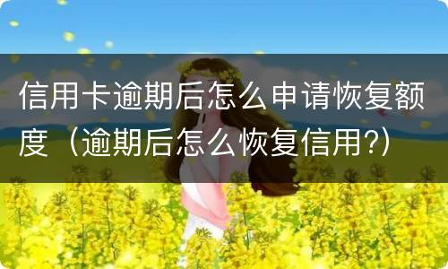 信用卡逾期后怎么申请恢复额度（逾期后怎么恢复信用?）