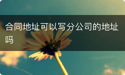 合同地址可以写分公司的地址吗